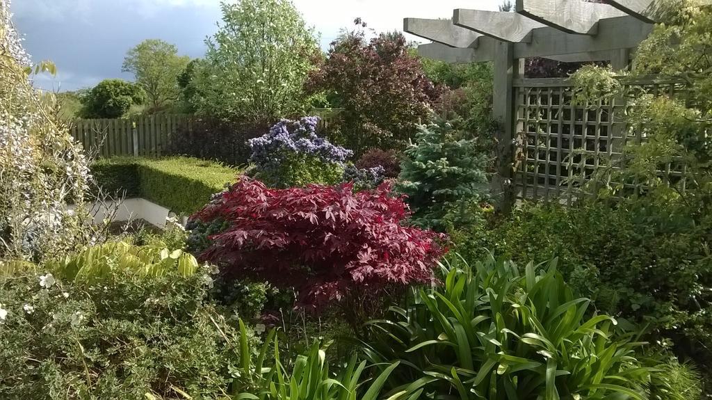 Dunbur Lodge Wicklow Esterno foto